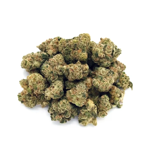Archetype | Mini-Buds |