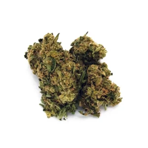 68e825d54d117888cfd53f06_Deadhead-OG-3.5g-Minis-scaled-1.webp Dead Head OG 💀