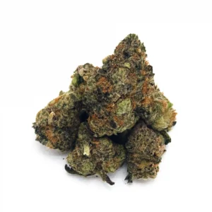 Lemon Lime Haze | Mini-Buds  Signature