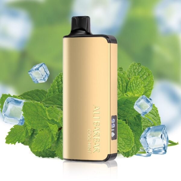 ALIBARBAR INGOT 9000 PUFF – COOL MINT