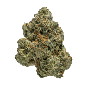 Blue-Cookies-Web-FULL.png Blue Cookies 🍪