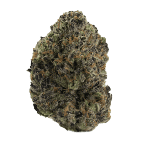 Gush-Mintz-WEB-300x300-1.png Gush Mintz