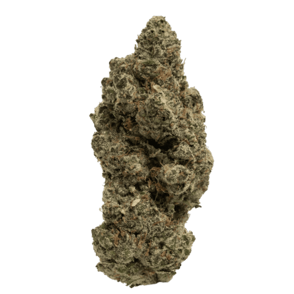 Mule-Fuel-web-FULL-8.4.25.png Mule Fuel