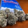 Buy Frostiez Joke’s Up | 40g